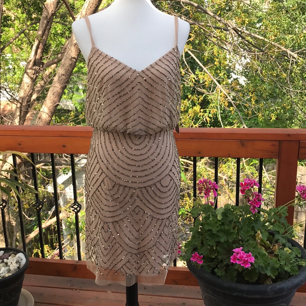 Adrianne Papel Dress